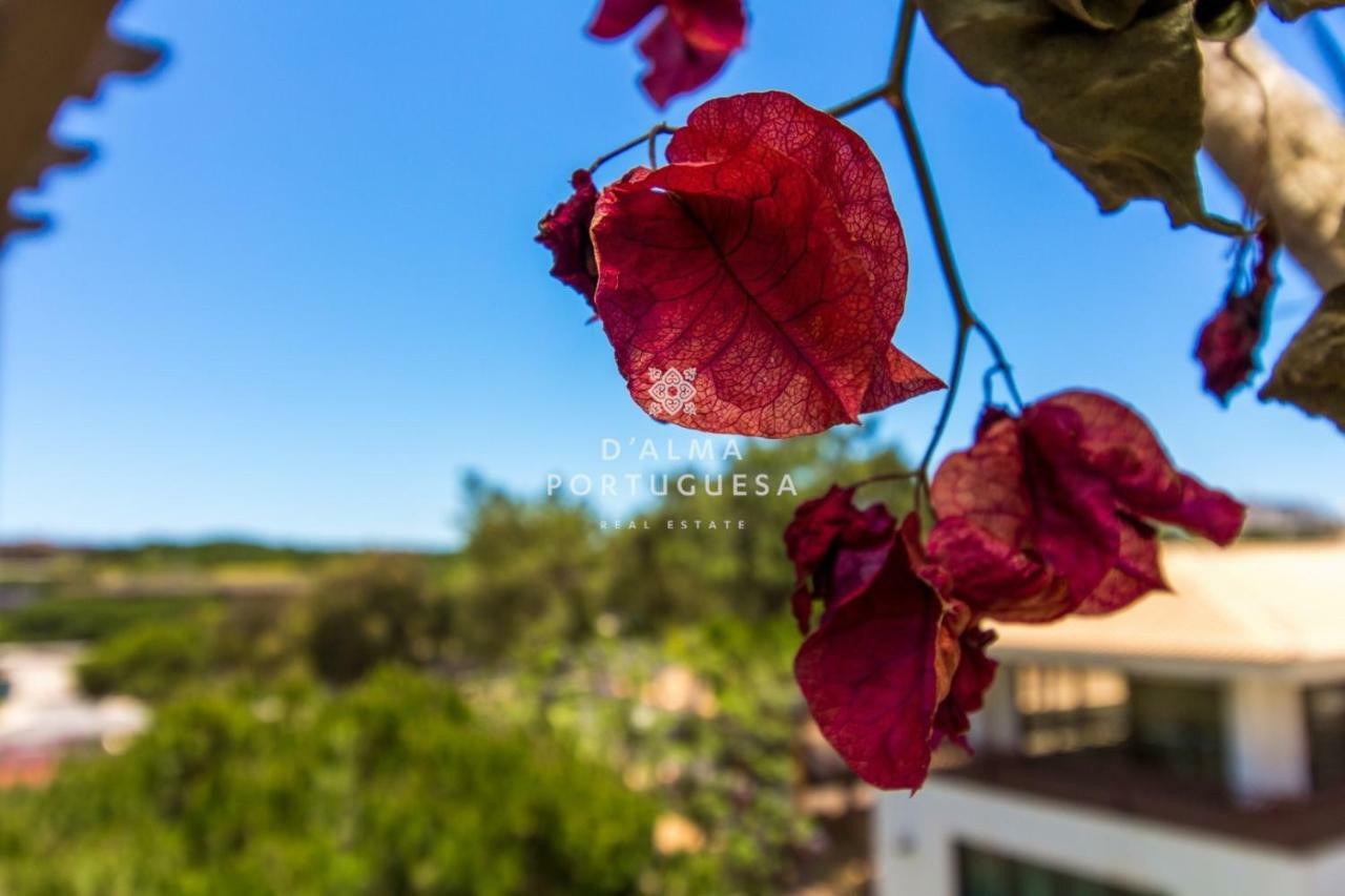 D'alma Falesia - By Dalma Portuguesa Apartamento *